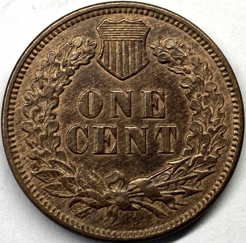 1878-Indian-Cent-For-Your-Opinions